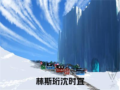 夜尽黎明时（林斯珩沈时宜）全文免费阅读无弹窗_林斯珩沈时宜最新小说精彩推荐