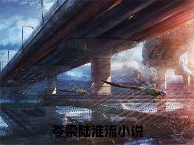 岑染陆淮流（岑染陆淮流）全文免费阅读大结局_岑染陆淮流最新章节列表_笔趣阁
