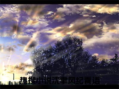 潇潇雨声迟（沈聿风纪青语）全文免费阅读无弹窗大结局_（潇潇雨声迟阅读全文大结局）沈聿风纪青语最新章节列表