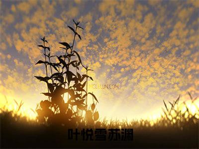 叶悦雪苏渊（叶悦雪苏渊）精彩小说-叶悦雪苏渊小说全文无删减版免费阅读