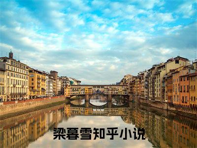 梁暮雪小说（从此繁星依旧）精彩免费小说_梁暮雪全文免费阅读无弹窗大结局笔趣阁