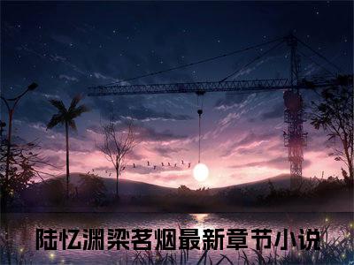 陆忆渊梁茗烟在哪看无弹窗全文