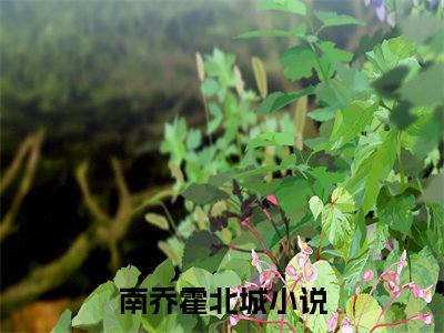 南乔霍北城（寄人篱下小可怜，霍爷疼成心尖宠）全文免费阅读无弹窗大结局_南乔霍北城小说（寄人篱下小可怜，霍爷疼成心尖宠）最新章节列表