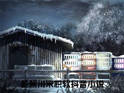 尝枳软（晏骜川宋枳软）全文免费阅读无弹窗大结局_（尝枳软）已完结全集大结局小说