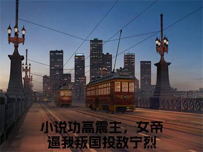 功高震主，女帝逼我叛国投敌宁烈（功高震主，女帝逼我叛国投敌宁烈）全文免费阅读无弹窗大结局-（功高震主，女帝逼我叛国投敌宁烈免费阅读全文大结局）最新章节