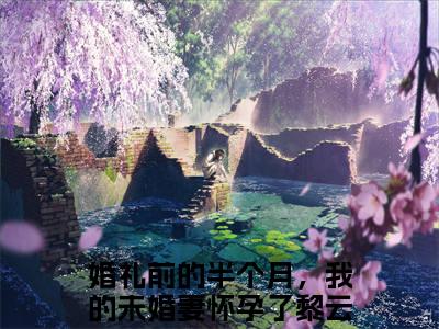 婚礼前的半个月，我的未婚妻怀孕了黎云泽最新章节全文阅读婚礼前的半个月，我的未婚妻怀孕了黎云泽天完整版小说