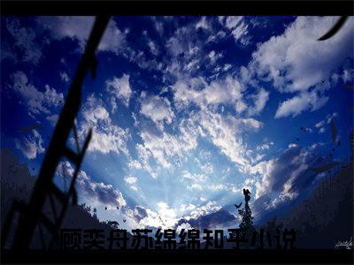 顾奕舟苏绵绵（代替姐姐联姻后，大佬诱我步步深陷）小说全文免费阅读_顾奕舟苏绵绵最新章节小说免费阅读_笔趣阁代替姐姐联姻后，大佬诱我步步深陷