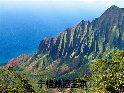 通古今暴富：我养成了修仙界废材全文免费阅读无弹窗大结局_（宁惜萧迟在线阅读）通古今暴富：我养成了修仙界废材最新章节完整版阅读