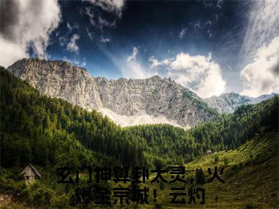 玄门神算卦太灵，火爆全京城！免费小说-玄门神算卦太灵，火爆全京城！完结版在线阅读