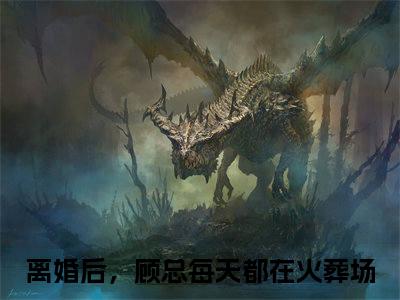 沈瑶顾天佑小说（离婚后，顾总每天都在火葬场）全文免费阅读_（离婚后，顾总每天都在火葬场）沈瑶顾天佑最新章节列表笔趣阁