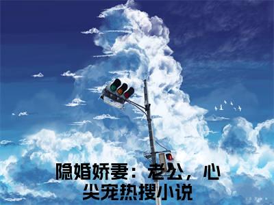 隐婚娇妻：老公，心尖宠小说（叶柠慕夜黎）全文免费阅读无弹窗_隐婚娇妻：老公，心尖宠小说_笔趣阁