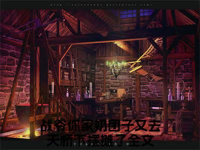 战爷你家奶团子又去天桥下摆摊了战糖糖战北庭小说在哪里可以看战糖糖战北庭免费在线阅读
