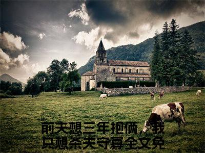 前夫想三年抱俩，我只想杀夫守寡（黎笙顾景淮）全文免费阅读无弹窗大结局_前夫想三年抱俩，我只想杀夫守寡免费阅读无弹窗最新章节列表_笔趣阁