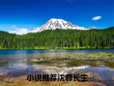 我重生的，干掉穿书的，不过分吧？（沈蓉长生）全文免费阅读无弹窗大结局_（沈蓉长生小说免费阅读）最新章节列表_笔趣阁