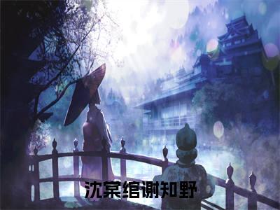 沈棠绾谢知野是什么小说-沈棠绾谢知野无弹窗免费阅读大结局最新章节列表_笔趣阁
