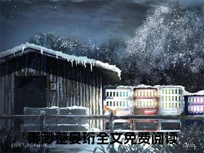 秦渺楚晏珩全集完整版大结局-秦渺楚晏珩小说在线赏析