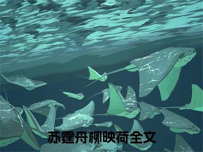 苏霆舟柳映荷（我真不知她是女帝师）全文无弹窗阅读-精彩小说我真不知她是女帝师（苏霆舟柳映荷）
