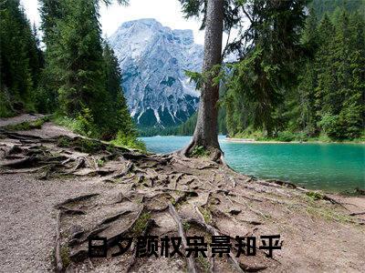 白夕颜权枭景（死缠烂打，强扭的瓜又甜又解渴）全文免费阅读无弹窗大结局_死缠烂打，强扭的瓜又甜又解渴小说最新章节列表