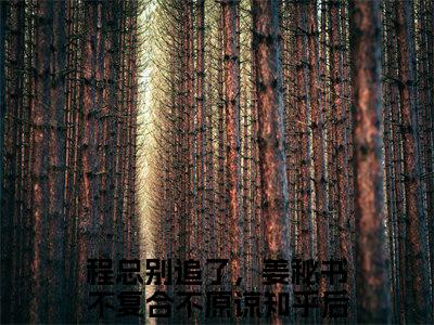 姜心仪程安北（程总别追了，姜秘书不复合不原谅）全文免费阅读无弹窗大结局_程总别追了，姜秘书不复合不原谅免费最新章节列表_笔趣阁