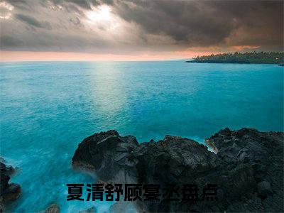 夏清舒顾宴丞免费小说（春风与他皆遗忘）全文无弹窗阅读夏清舒顾宴丞大结局免费阅读无弹窗