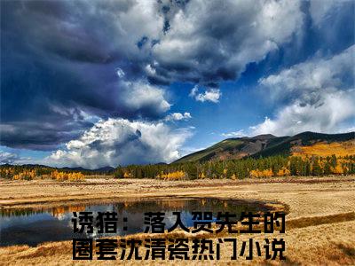 诱猎：落入贺先生的圈套沈清瓷全文免费阅读无弹窗大结局，诱猎：落入贺先生的圈套沈清瓷小说精彩免费试读