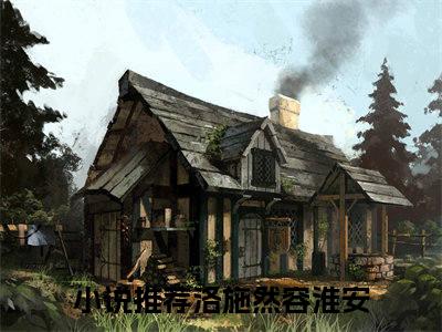 洛施然容淮安小说好看吗 洛施然容淮安热门推荐小说（洛施然容淮安）全章节阅读_笔趣阁