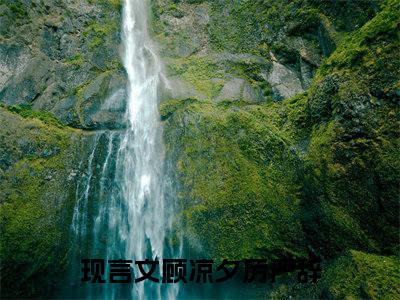 顾凉夕厉严辞的小说免费阅读（顾凉夕厉严辞的小说免费阅读）全文完整版免费阅读