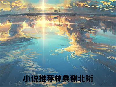 我终于失去了你免费阅读（林桑谢北珩）完整版全文全章节阅读