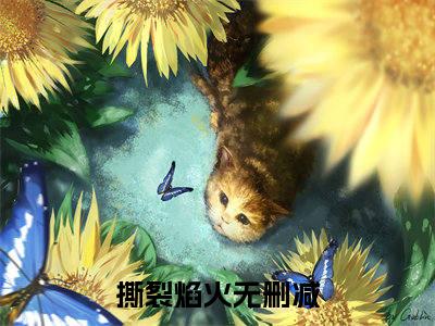 纪莫年（撕裂焰火）最新章节阅读-热点小说榜单推荐撕裂焰火
