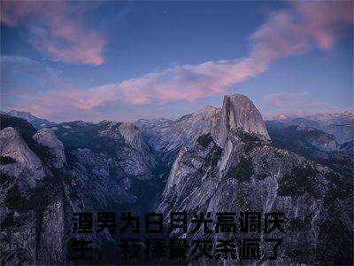 宁南雪最后结局如何，渣男为白月光高调庆生，我捧骨灰杀疯了强推全文阅读无弹窗