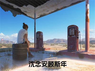 沈念安顾斯年（此去经年，与君重逢小说）全文免费阅读无弹窗大结局_（沈念安顾斯年）此去经年，与君重逢小说最新章节列表