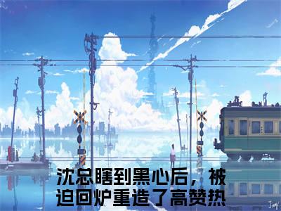 林小纭沈时璟（沈总瞎到黑心后，被迫回炉重造了）免费阅读无弹窗大结局-林小纭沈时璟免费阅读大结局最新章节列表_笔趣阁