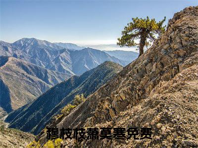 穆枝枝萧莫寒全文小说（穆枝枝萧莫寒）全文阅读-穆枝枝萧莫寒在线小说免费阅读