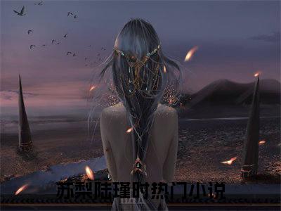 苏梨陆瑾时（爱意在记忆删除中消散：结局+番外）完结版全文免费阅读_苏梨陆瑾时大结局全章节阅读（爱意在记忆删除中消散：结局+番外）