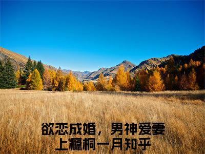 （欲恋成婚，男神爱妻上瘾桐一月）全文免费阅读无弹窗大结局_（欲恋成婚，男神爱妻上瘾桐一月阅读无弹窗）欲恋成婚，男神爱妻上瘾桐一月最新章节列表_笔趣阁（欲恋成婚，男神爱妻上瘾桐一月）