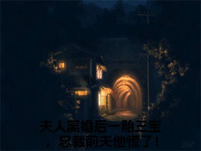 （夫人离婚后一胎三宝，总裁前夫他慌了！）全文免费阅读无弹窗大结局_（洛晚星谢南凛阅读无弹窗）夫人离婚后一胎三宝，总裁前夫他慌了！最新章节列表