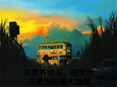 终章小说邓明浩李若兰夫妻齐穿书，在年代文里当配角小说(邓明浩李若兰)已更新+番外篇章（夫妻齐穿书，在年代文里当配角）无广告