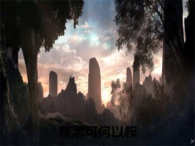 前传_笔趣阁（林念可何以桉）林念可何以桉小说(星光与她同在)章节在线阅读