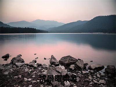 （沈景曜梁唯）沈景曜梁唯小说最终篇章章节在线无广告高口碑小说
