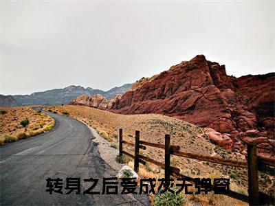 闻时聿林浅夏转身之后爱成灰小说无删减阅读清爽版（转身之后爱成灰）外篇+续集