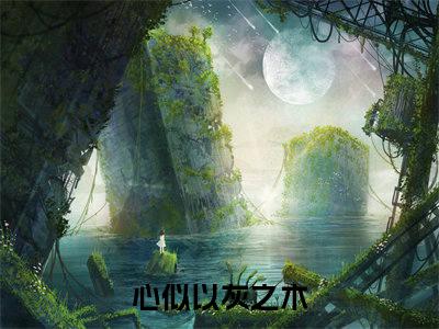 心似以灰之木小说（许鹿傅深）TXT无套路在线+无广告结局