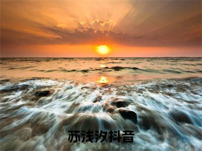 苏浅汐小说(重生后我成了病娇影帝的白月光)+前传（苏浅汐）阅读