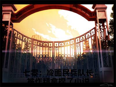 前传林虞续集(林虞)终章阅读极简（林虞）