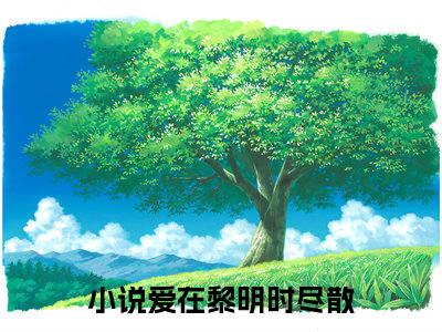 赵今雪江砚风小说章节目录+序章（爱在黎明时尽散）全书畅享在线