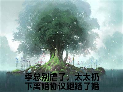 季总别虐了，太太扔下离婚协议跑路了小说(季总别虐了，太太扔下离婚协议跑路了)（季司宸桑榆晚）前传+阅读全新作品预订