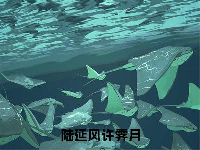 陆延风许霁月新上热文小说（陆延风许霁月）讲的是什么-陆延风许霁月全文完整版免费阅读