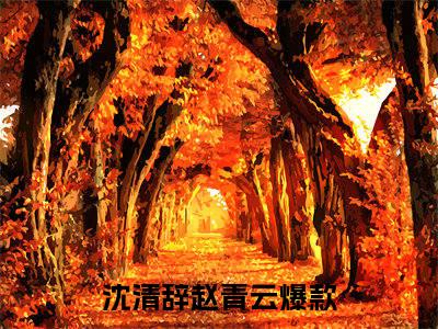 沈清辞赵青云：后续+全文沈清辞赵青云（沈清辞赵青云）全文免费阅读无弹窗大结局_沈清辞赵青云：后续+全文沈清辞赵青云最新章节列表_笔趣阁（沈清辞赵青云）