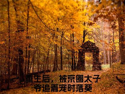 重生后，被京圈太子爷追着宠时落葵（重生后，被京圈太子爷追着宠时落葵）全文免费阅读无弹窗_重生后，被京圈太子爷追着宠时落葵最新小说_笔趣阁（重生后，被京圈太子爷追着宠时落葵）