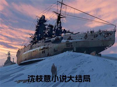 (番外)+(全文)你怎么舍得我难过（沈枝意：结局+番外）全文免费阅读无弹窗大结局_(你怎么舍得我难过)最新章节列表_笔趣阁（沈枝意：结局+番外）