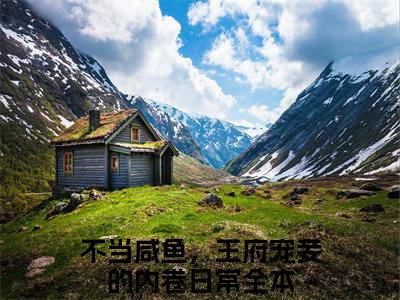 沈薇不当咸鱼，王府宠妾的内卷日常小说全文免费阅读无弹窗大结局_（不当咸鱼，王府宠妾的内卷日常）最新章节列表笔趣阁